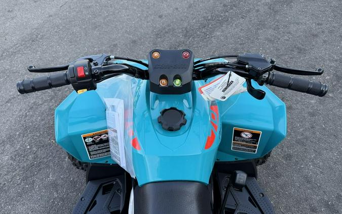 2025 Can-Am® Renegade 70 EFI