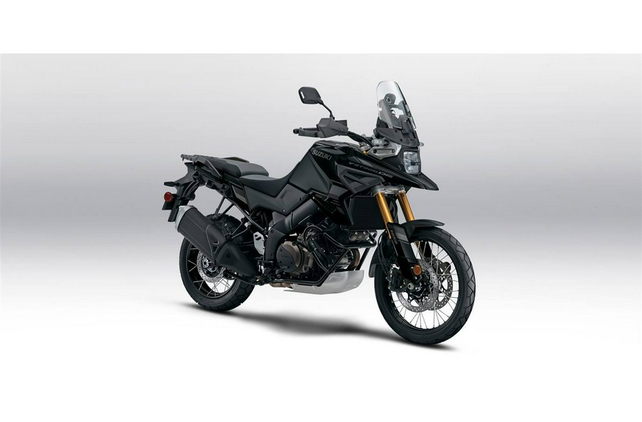 2024 Suzuki V-STROM 1050DE