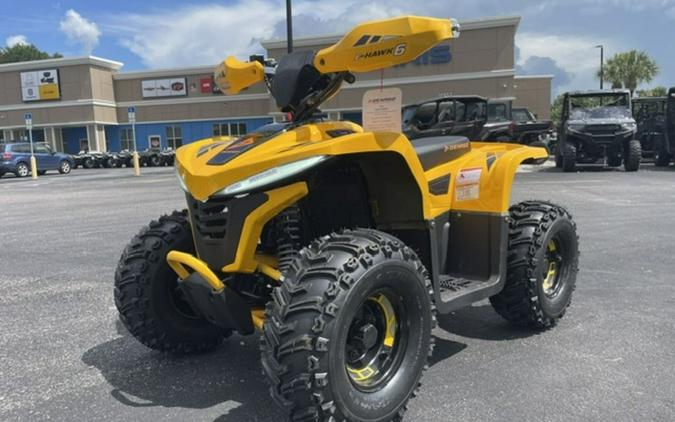 2026 Denago Powersports E-Hawk 6
