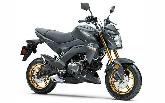 2024 Kawasaki Z125 PRO