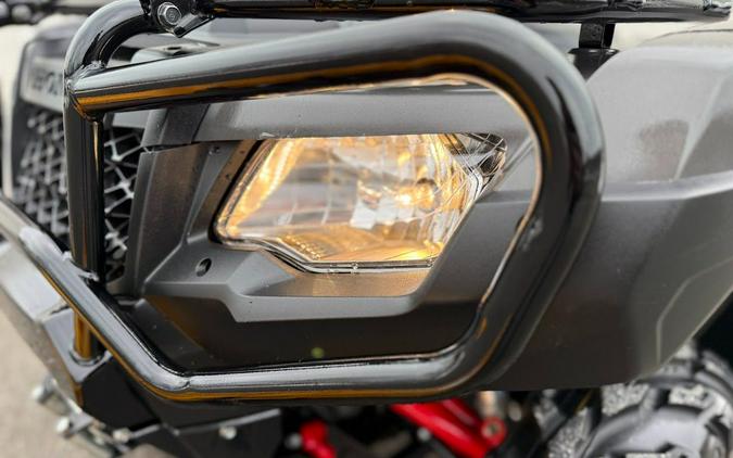 2017 Honda FourTrax Foreman Rubicon 4x4 DCT EPS Deluxe