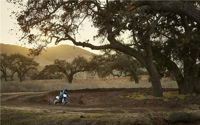2018 Yamaha Motor Corp., USA YZ65