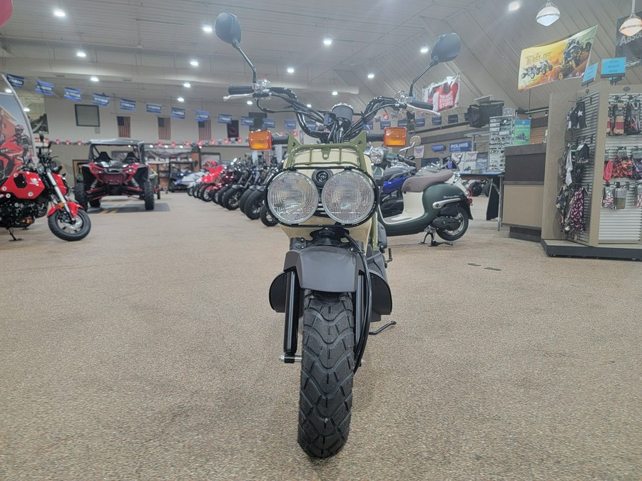 2024 Honda Ruckus