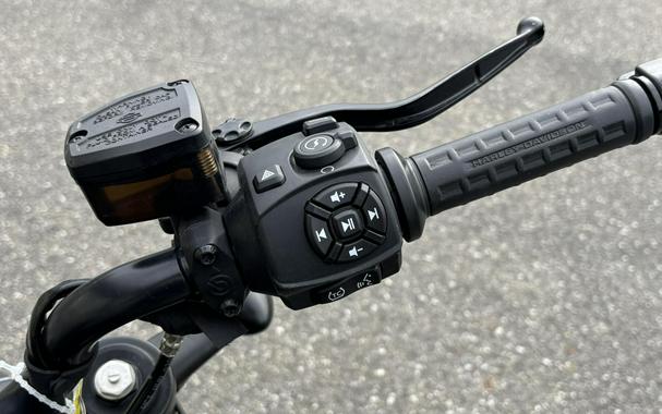 RH1250S 2022 Sportster S