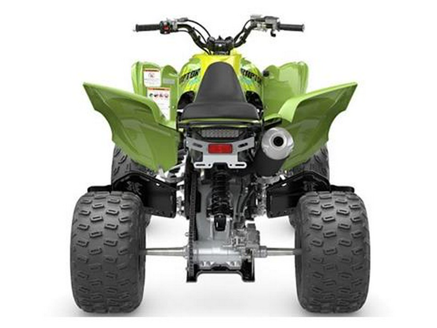 2025 Yamaha Raptor 700R SE