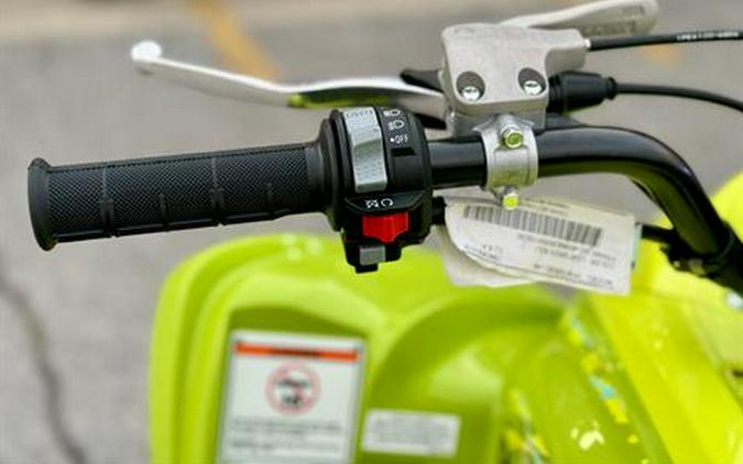 2025 Yamaha Raptor 700R SE