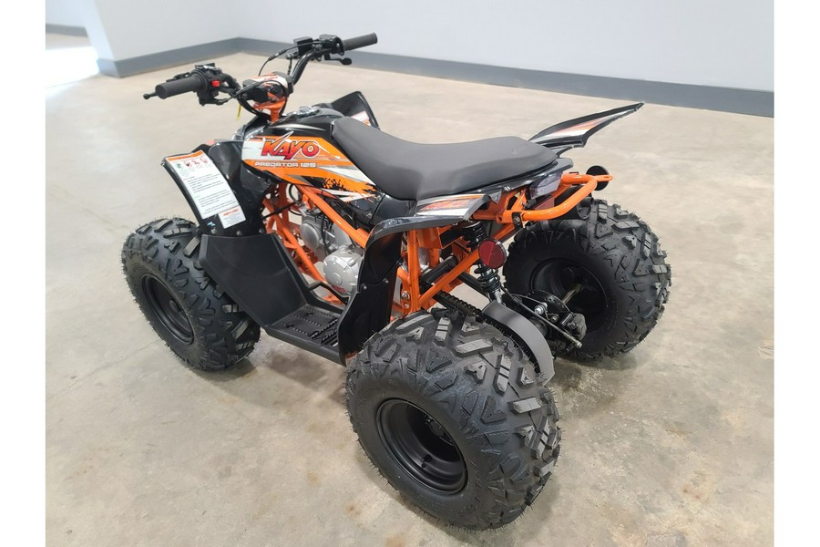 2022 Predator 125 - Kayo