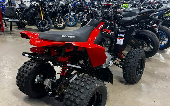 2026 Can-Am DS 250