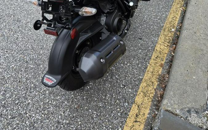 2024 Honda Navi
