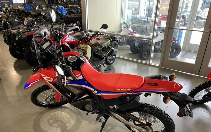 2024 Honda® CRF300L Rally ABS