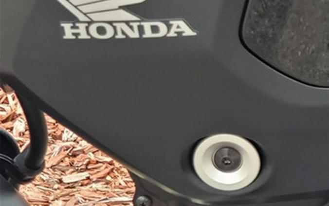 2023 Honda Grom