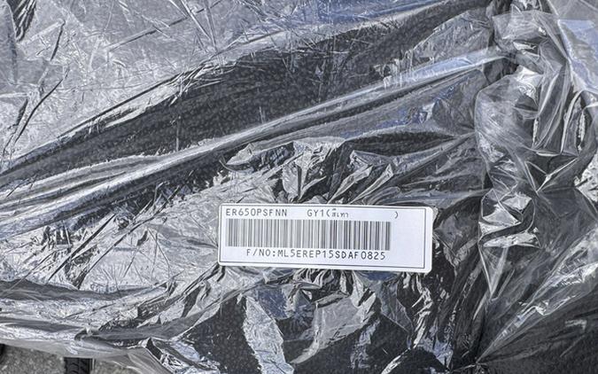 2025 Kawasaki Z650 Base