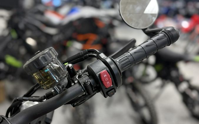 2025 CFMOTO 450CL - C - C1896