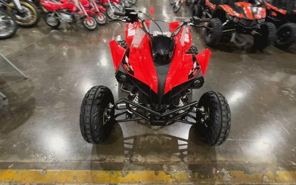 2026 Kayo STORM 300