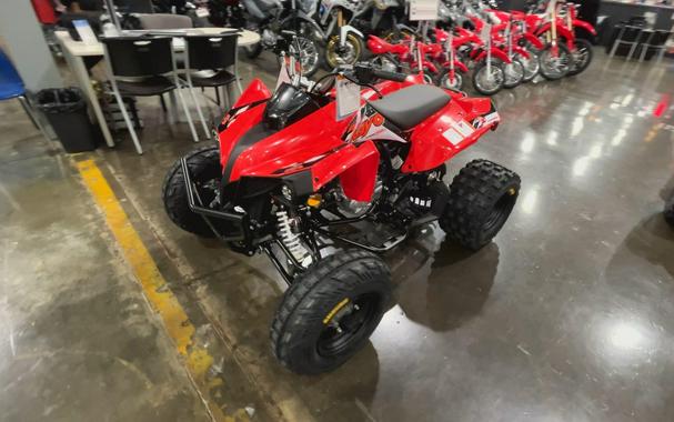 2026 Kayo STORM 300