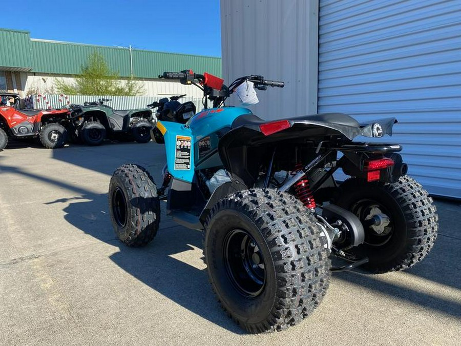 2024 Can-Am® Renegade 110 EFI