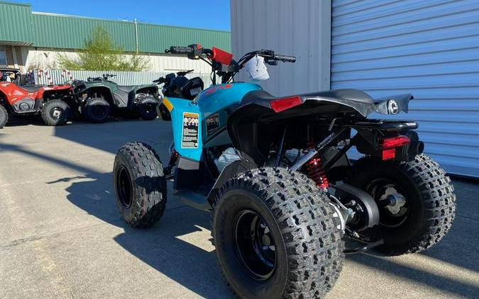 2024 Can-Am® Renegade 110 EFI