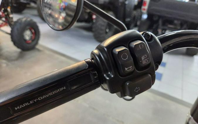 2020 Harley-Davidson Softail FLSL - Softail Slim