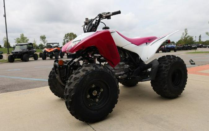 2023 Honda TRX250X