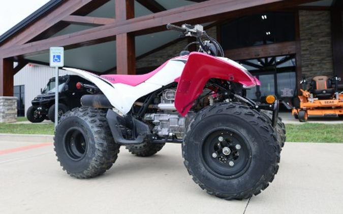 2023 Honda TRX250X