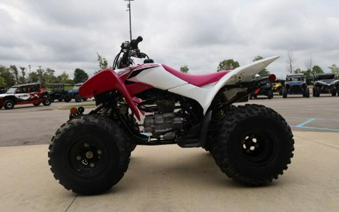 2023 Honda TRX250X