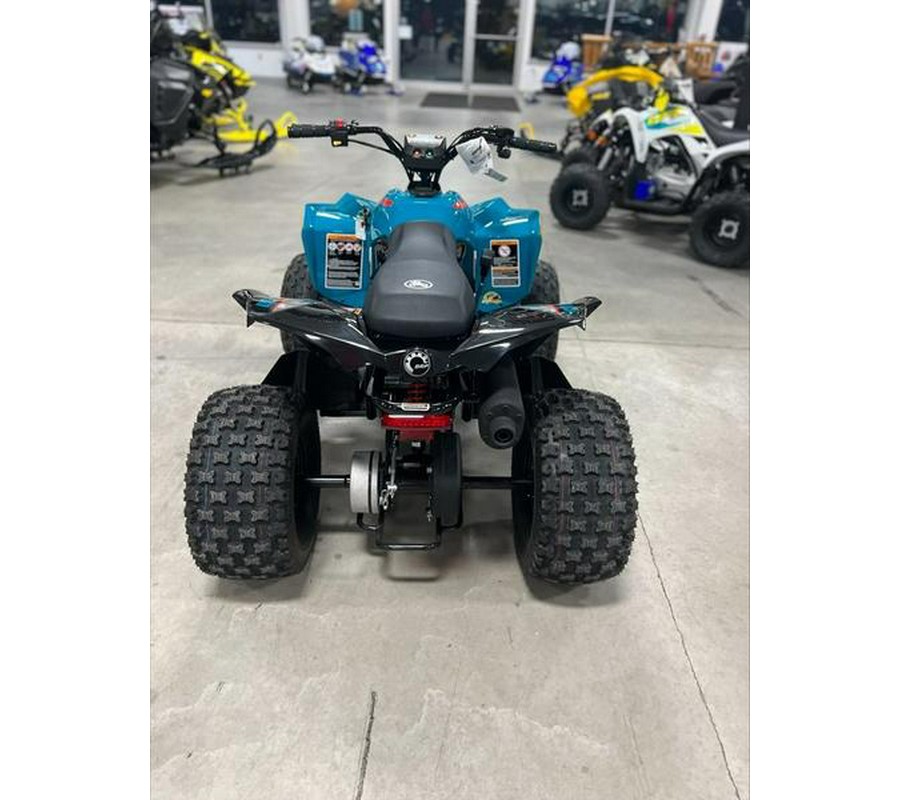 2024 Can-Am® Renegade 110 EFI