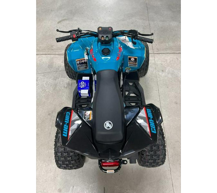 2024 Can-Am® Renegade 110 EFI