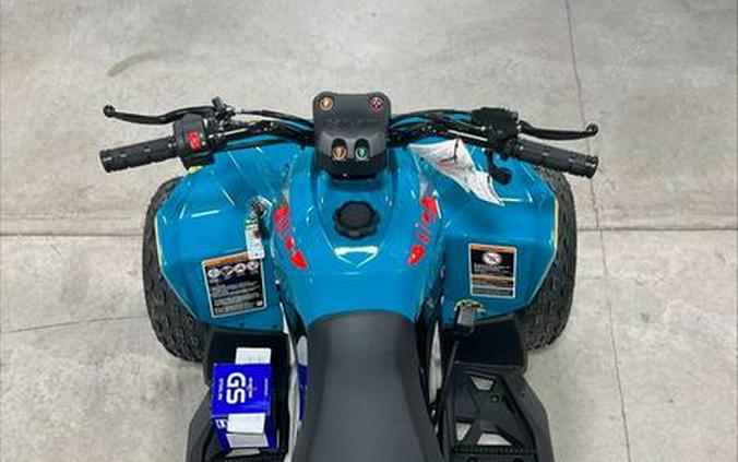 2024 Can-Am® Renegade 110 EFI