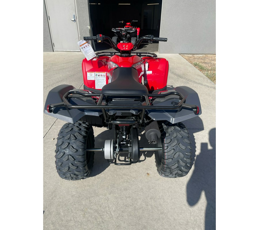 2025 Yamaha Grizzly 110