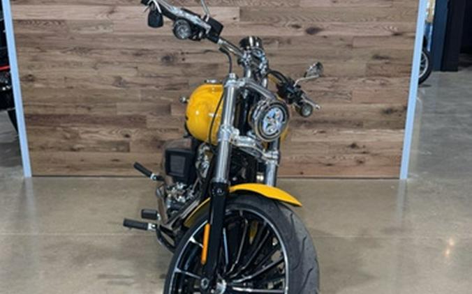 2025 Harley-Davidson Softail FXBR - Breakout