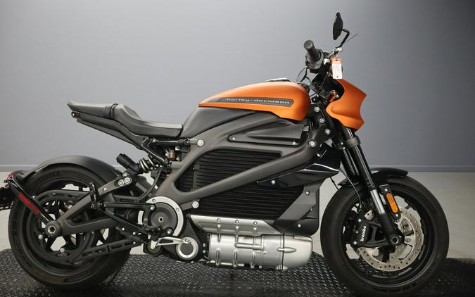 2020 Harley-Davidson LiveWire First Ride