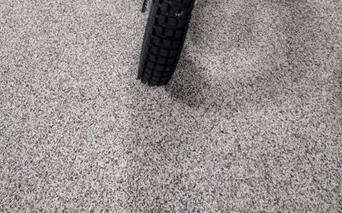 2025 GASGAS TXT Racing 250