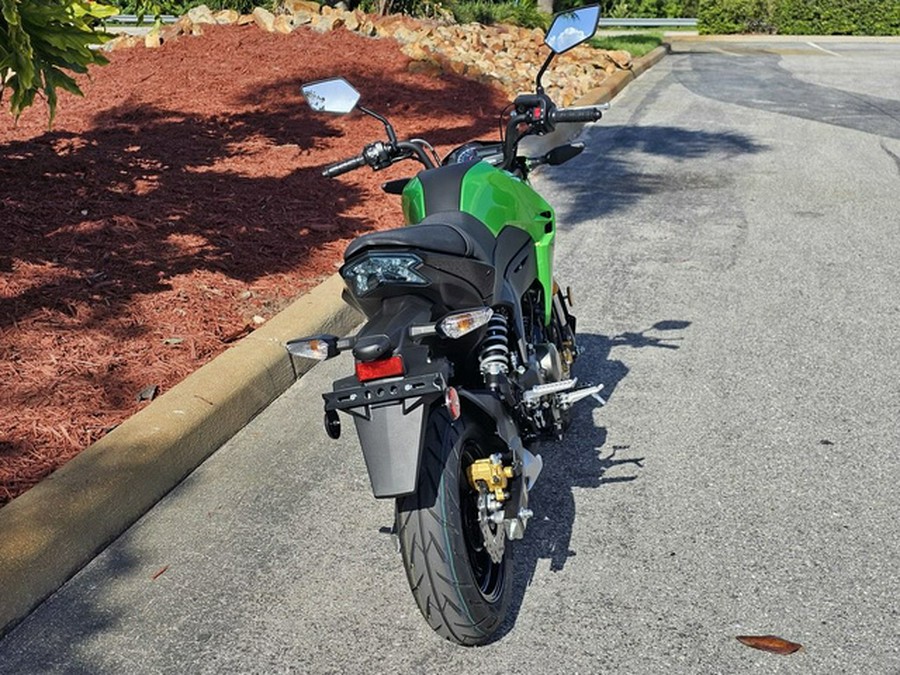 2024 Kawasaki Z125 PRO