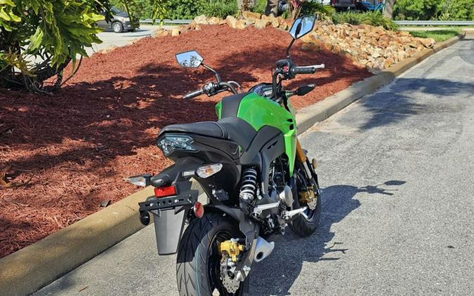 2024 Kawasaki Z125 PRO