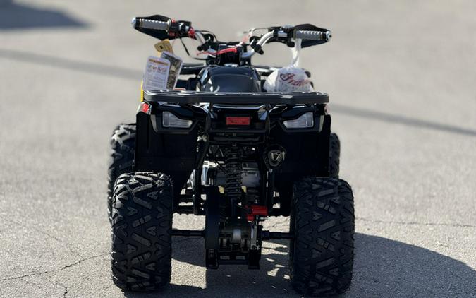 2026 Denago Powersports Mudhawk 10FI