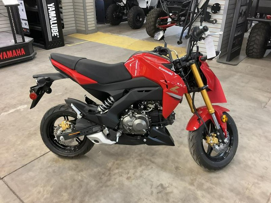 2023 Kawasaki Z125 PRO