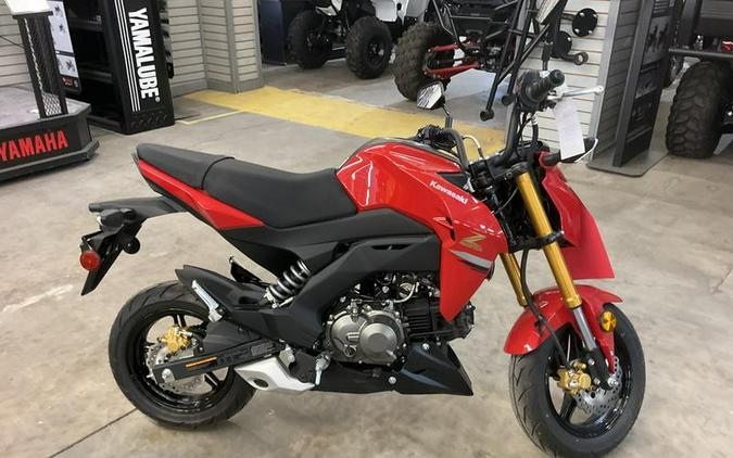 2023 Kawasaki Z125 PRO