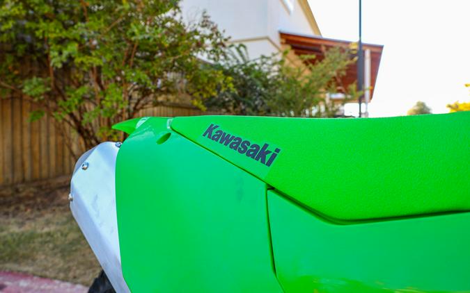 2026 KAWASAKI KX450X