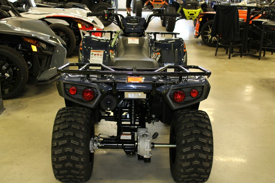 2024 Kawasaki Brute Force® 300