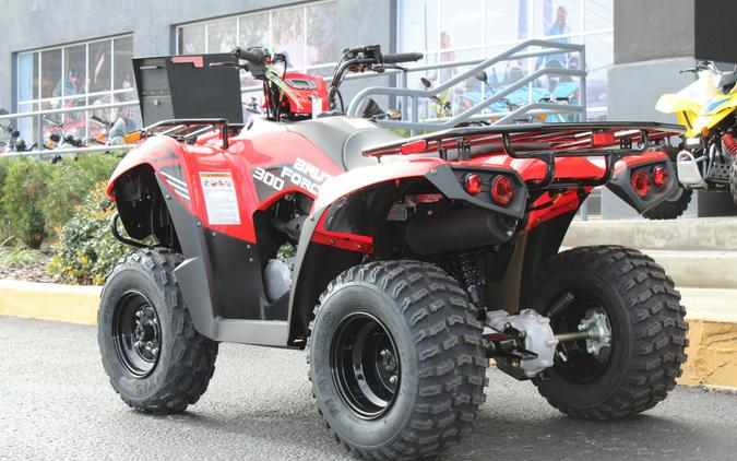 2024 Kawasaki Brute Force® 300