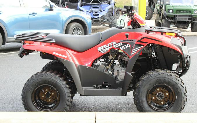 2024 Kawasaki Brute Force® 300