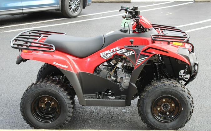 2024 Kawasaki Brute Force® 300