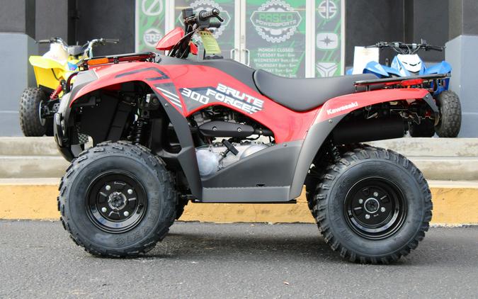 2024 Kawasaki Brute Force® 300