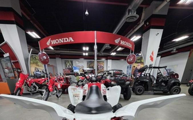 2026 Yamaha Raptor 700R SE