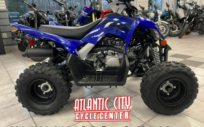 2024 Yamaha Raptor 110