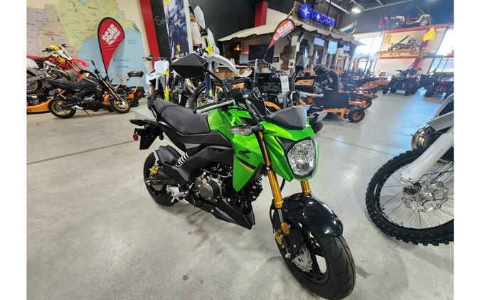 2024 Kawasaki Z125 PRO