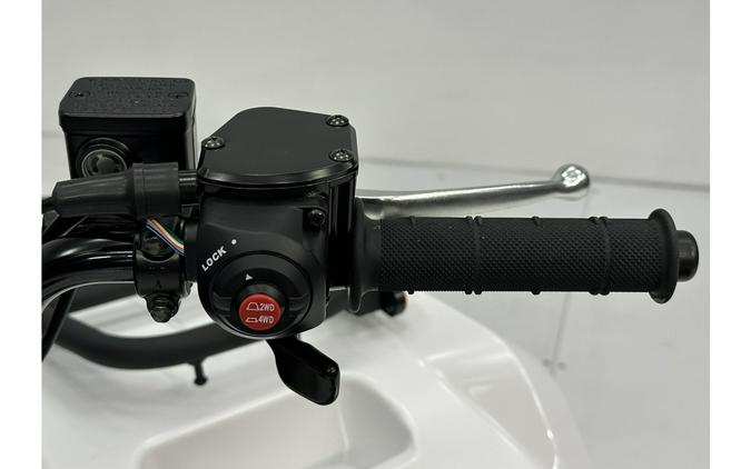 2025 Kawasaki Brute Force 450 4x4