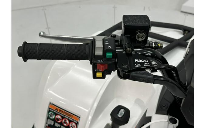 2025 Kawasaki Brute Force 450 4x4