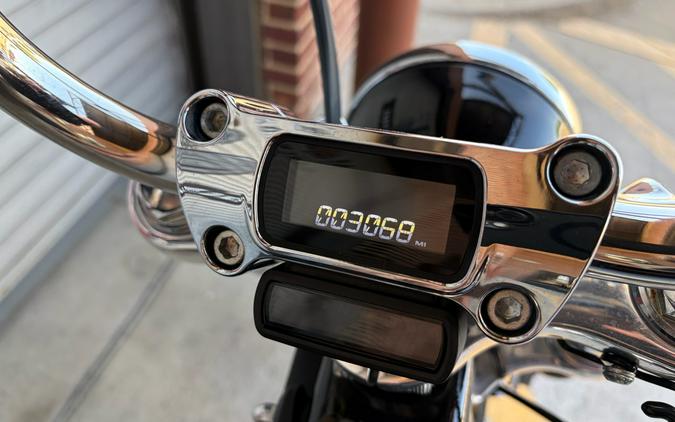 2024 Harley-Davidson Softail® Standard
