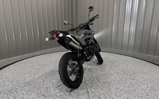 2024 Kawasaki KLX 230 ABS